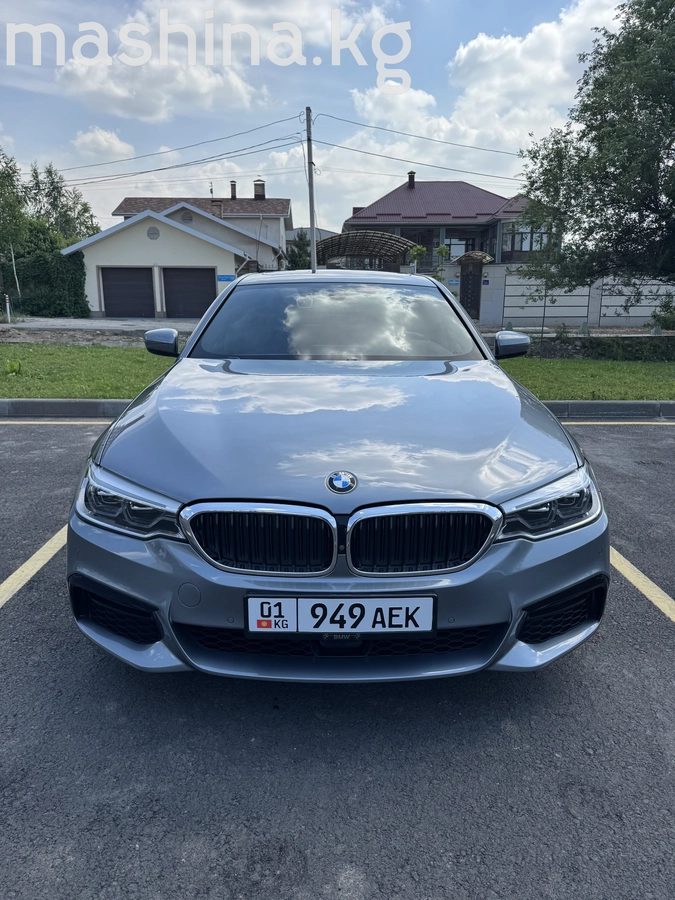 BMW 5 серии VII (G30/G31) 2019