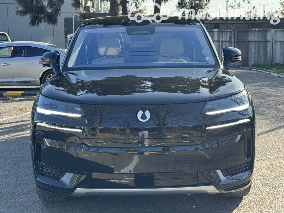 Denza N9