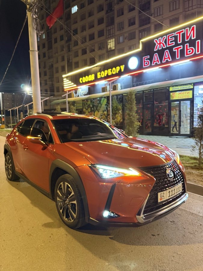 Lexus UX I 2019