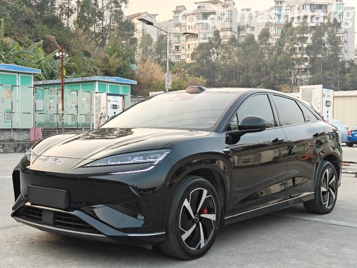 BYD Sea Lion 07