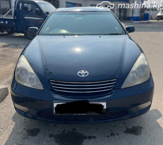 Toyota Windom