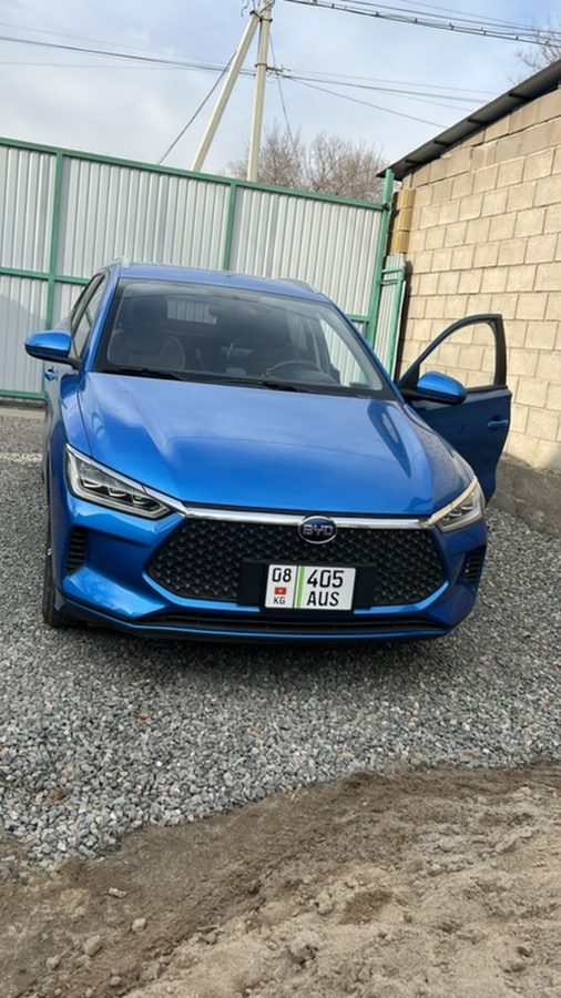 BYD Dolphin