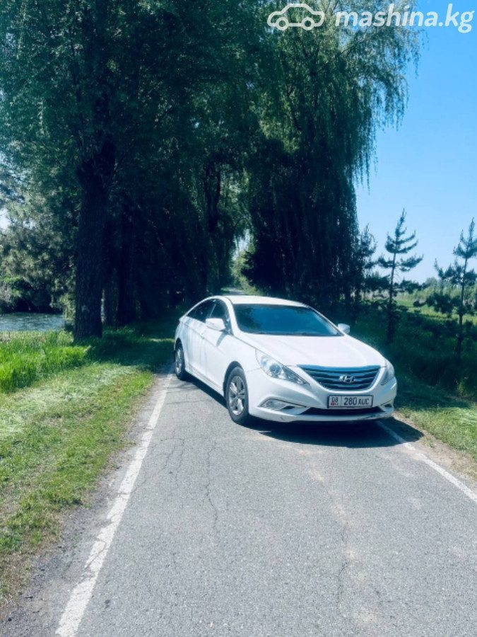 Hyundai Sonata VI (YF)