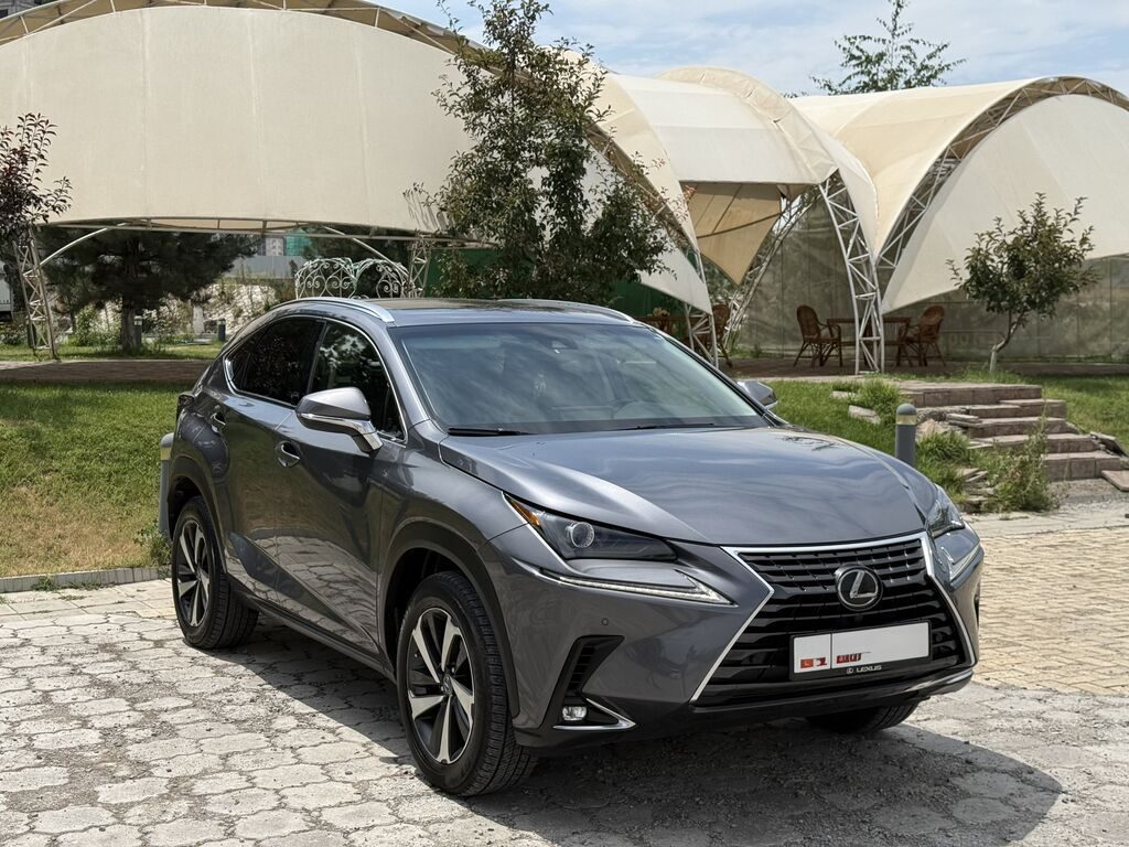 Lexus NX