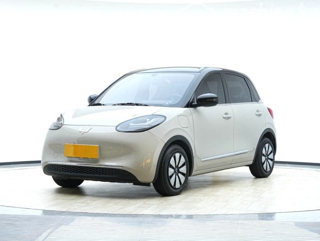 Wuling Binguo