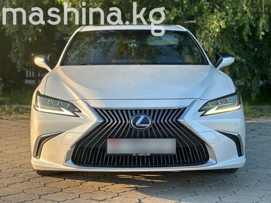 Lexus ES VII 2019