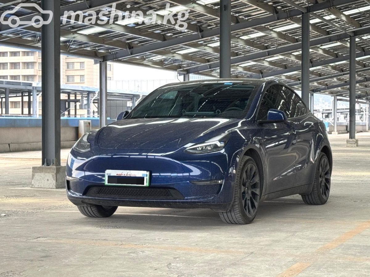 Tesla Model Y I