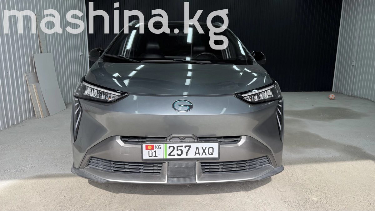 GAC Aion Y 2022