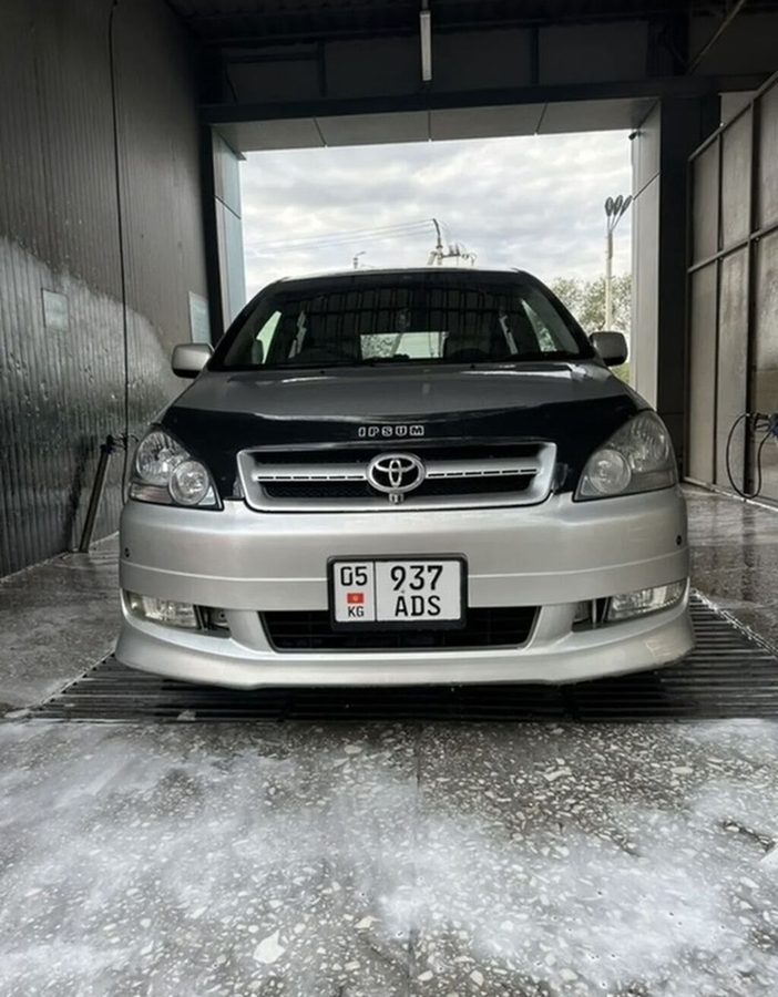 Toyota Ipsum