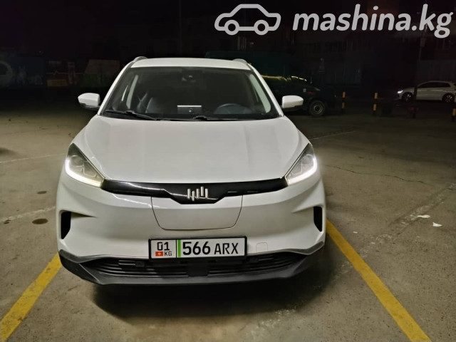 Weltmeister EX5
