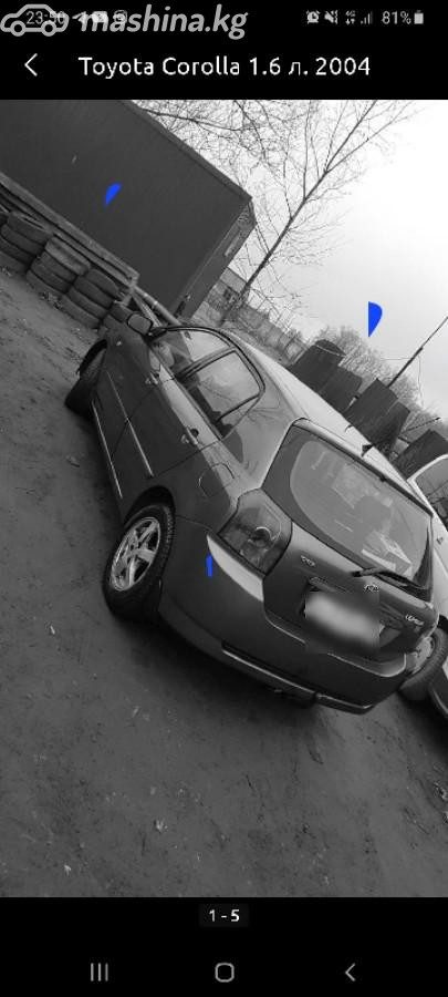 Toyota Corolla IX (E120, E130) Рестайлинг