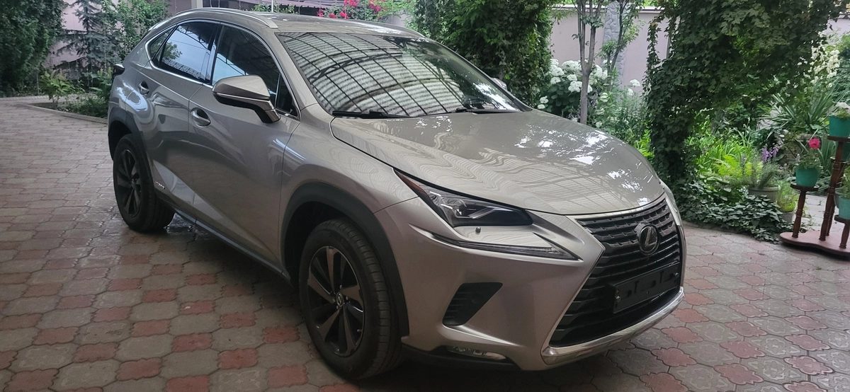 Lexus NX I Рестайлинг 2021