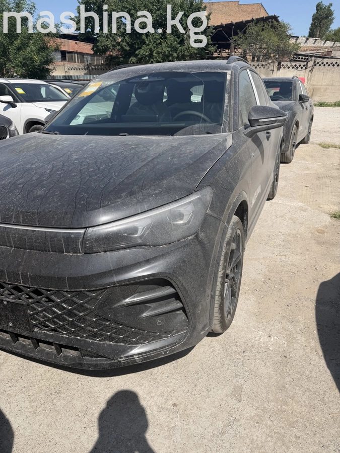 Volkswagen Tiguan II (China Market) 2026