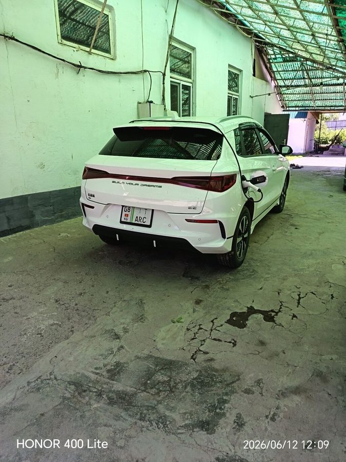 BYD E2