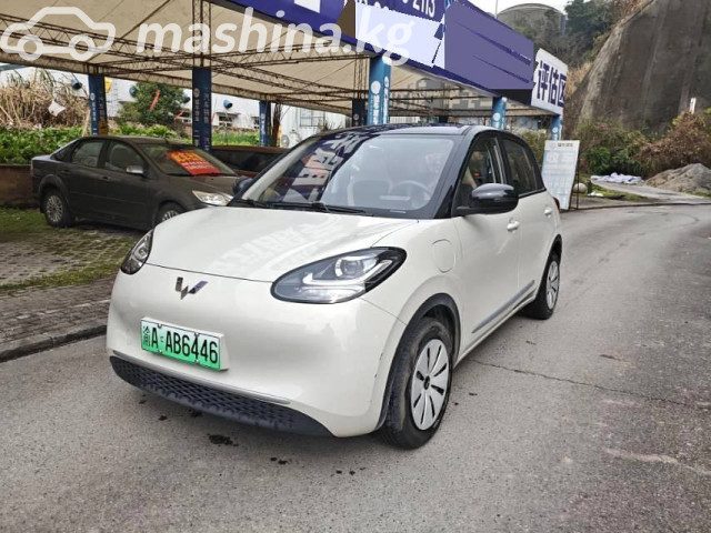 Wuling Binguo