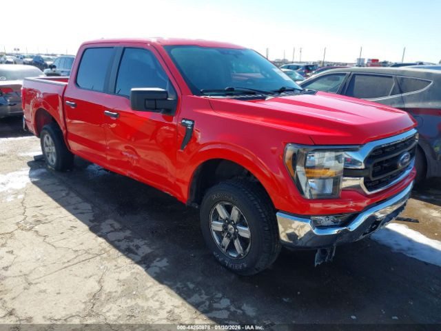 Ford F-150 XIV