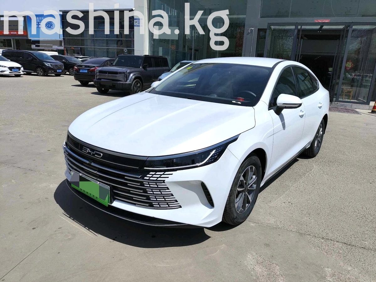 BYD Destroyer 05 2024