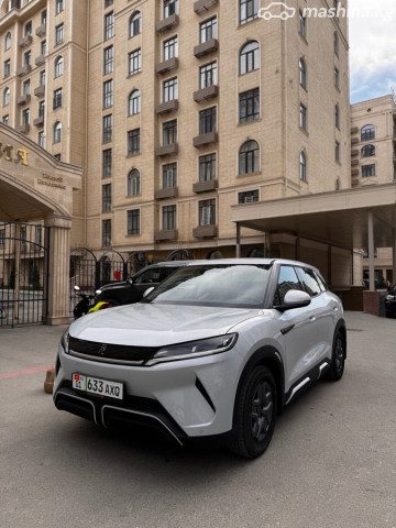 BYD Yuan Up