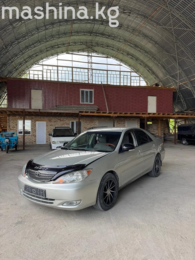 Toyota Camry V (XV30) 2001