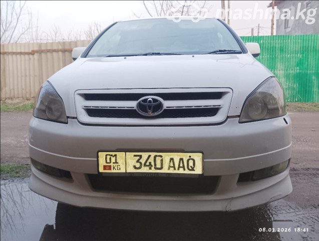 Toyota Ipsum