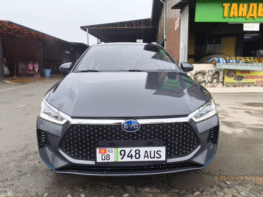 BYD E2