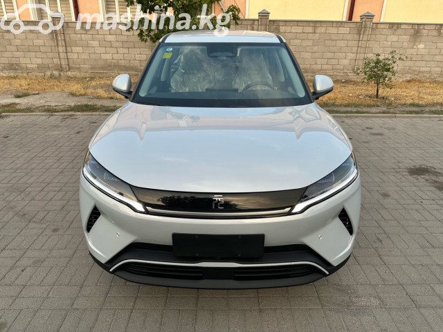 BYD Yuan Up