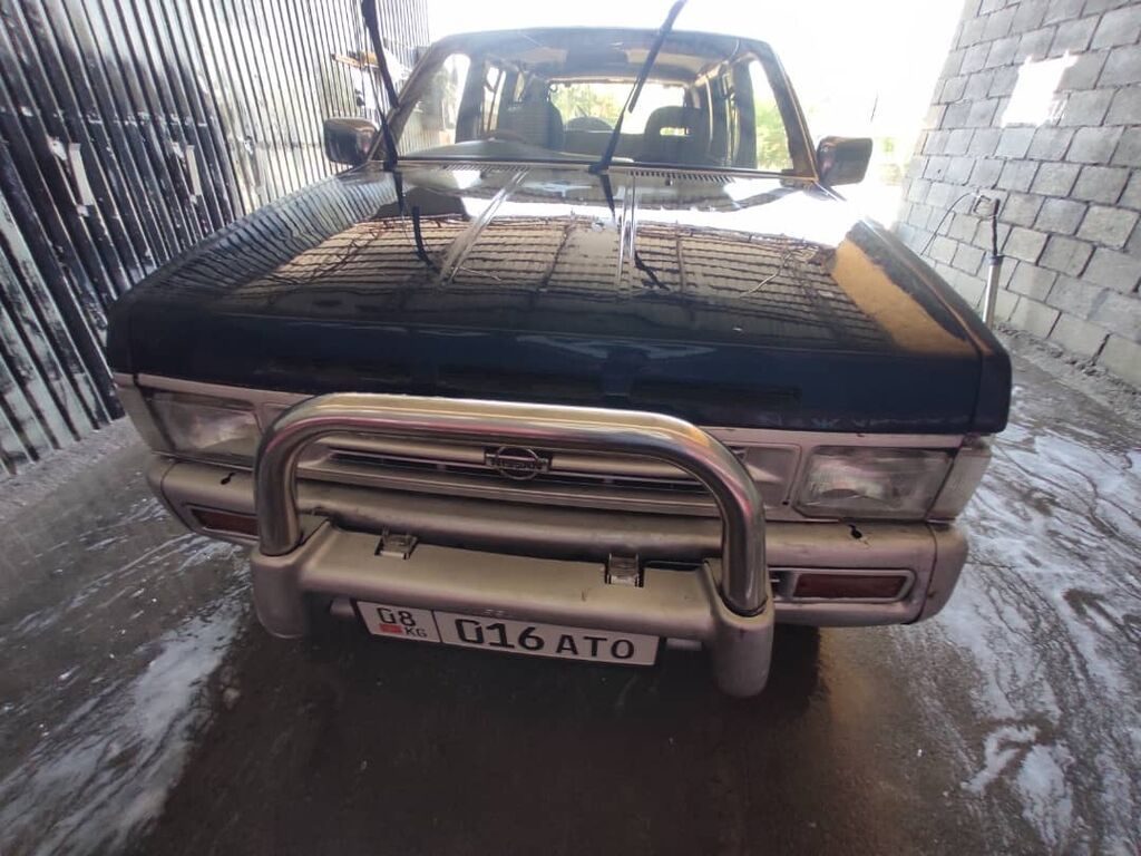 Nissan Terrano