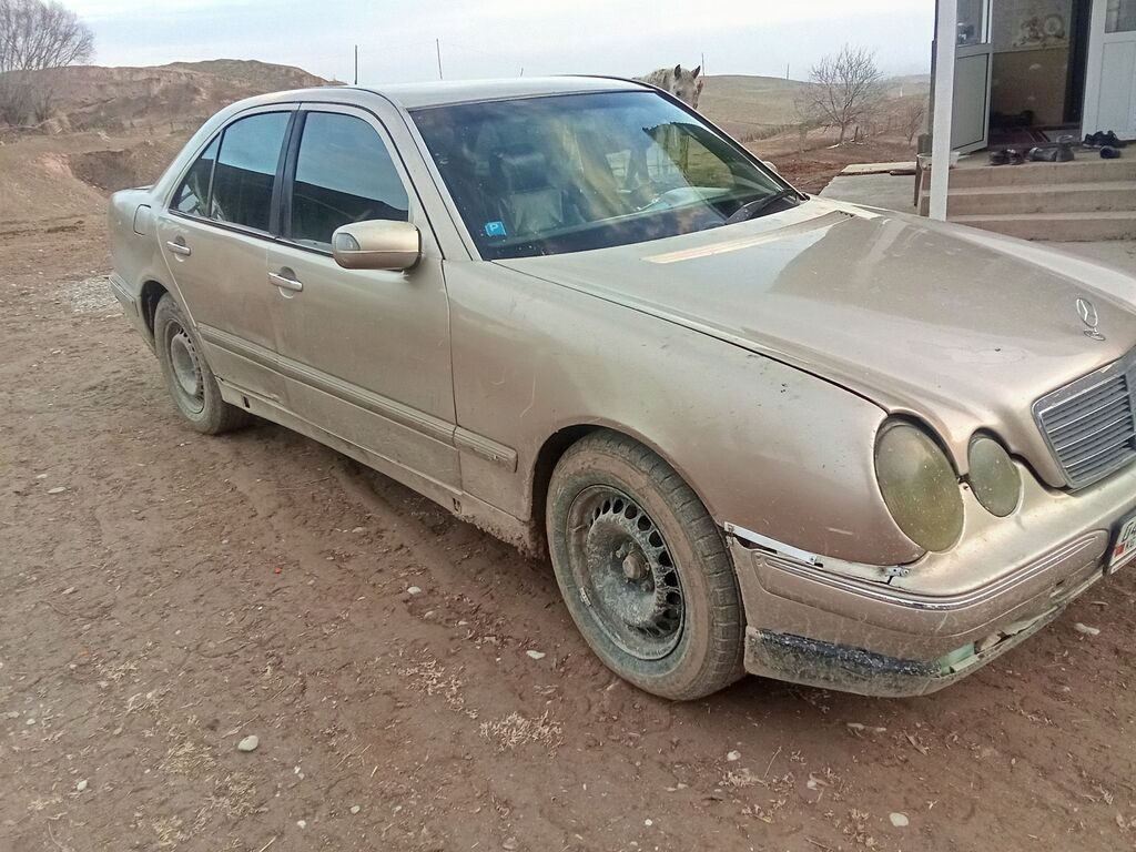 Mercedes-Benz 