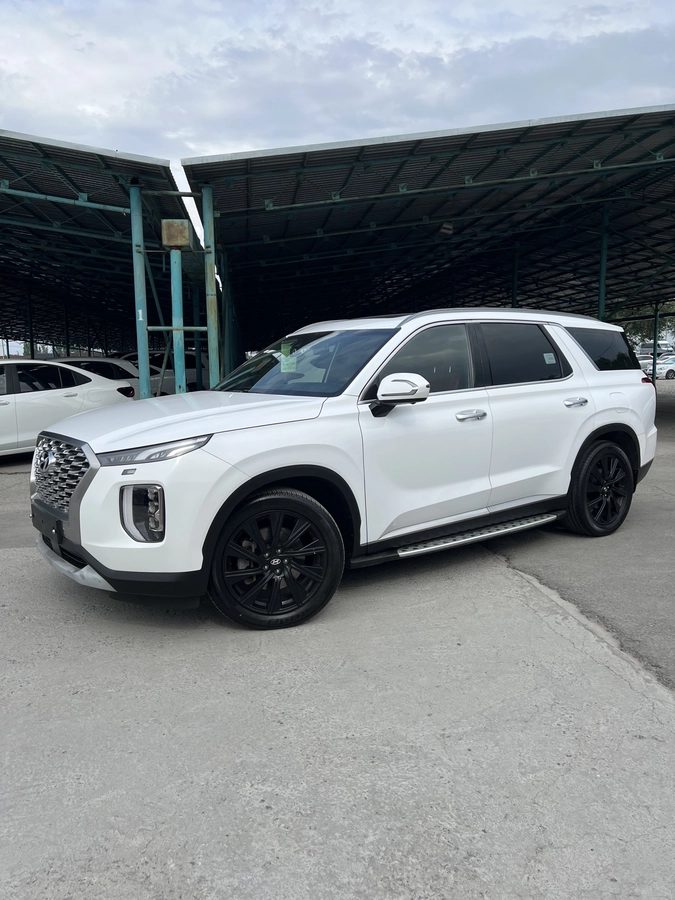 Hyundai Palisade I 2019
