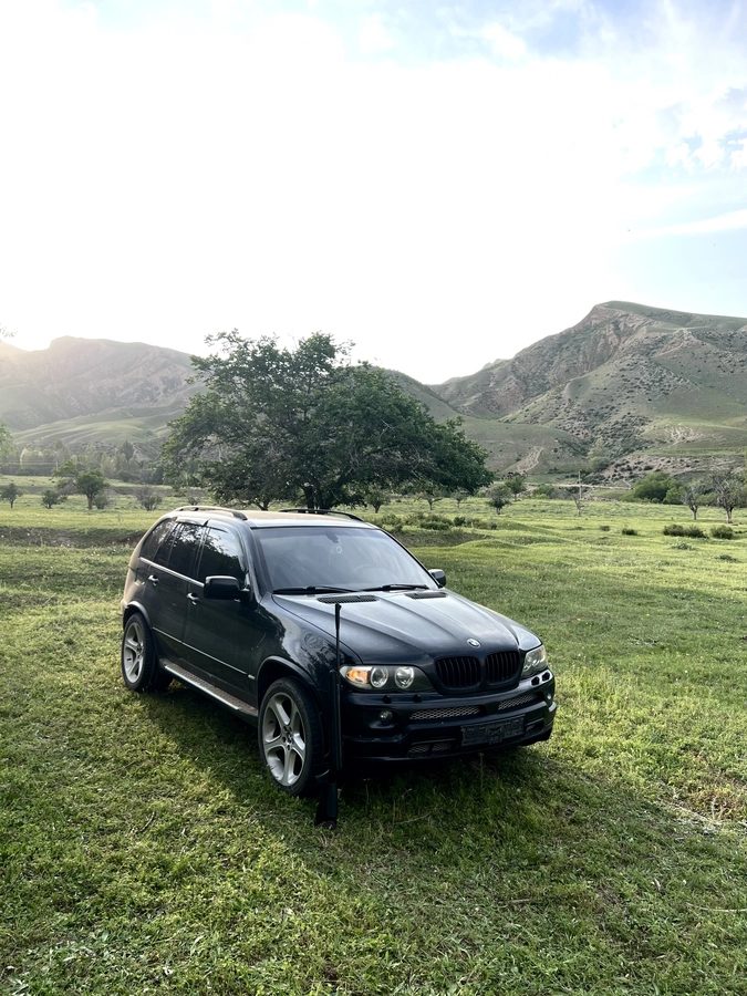 BMW X5 I (E53) Рестайлинг 2004
