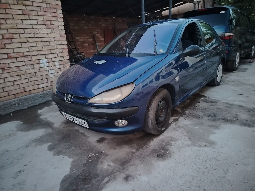 Peugeot 206