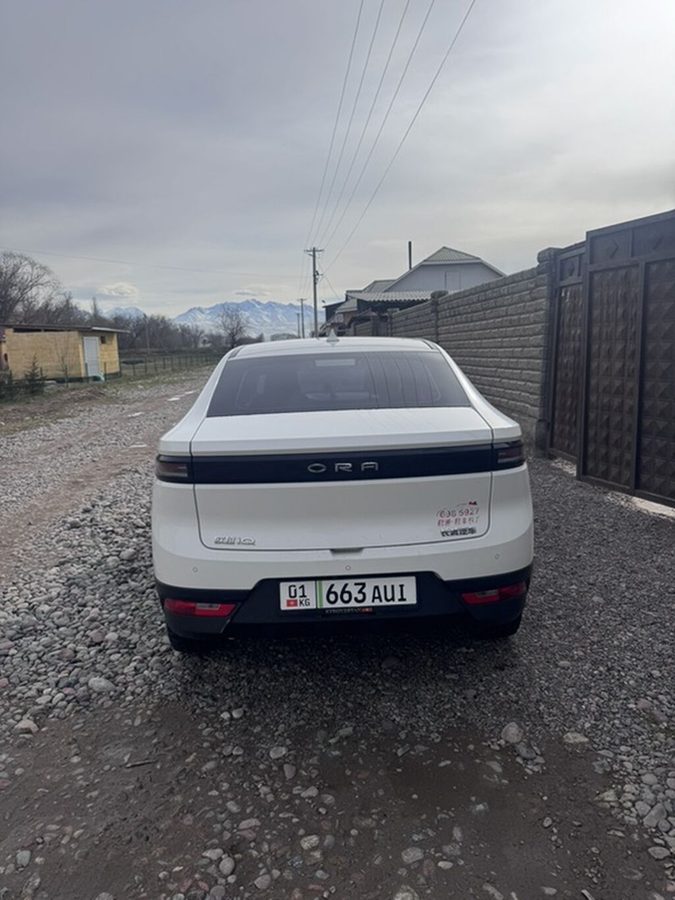 BYD 