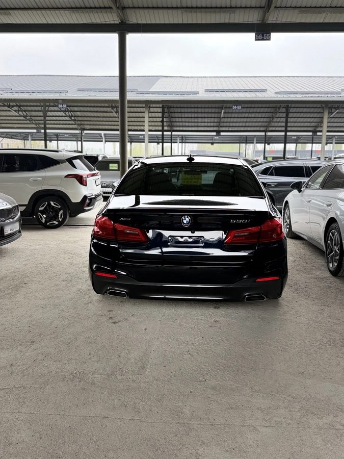 BMW 5 серии VII (G30/G31) 2019