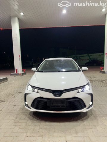Фото 2