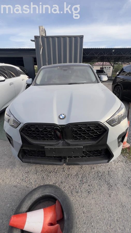 BMW X2 II (U10) 2024