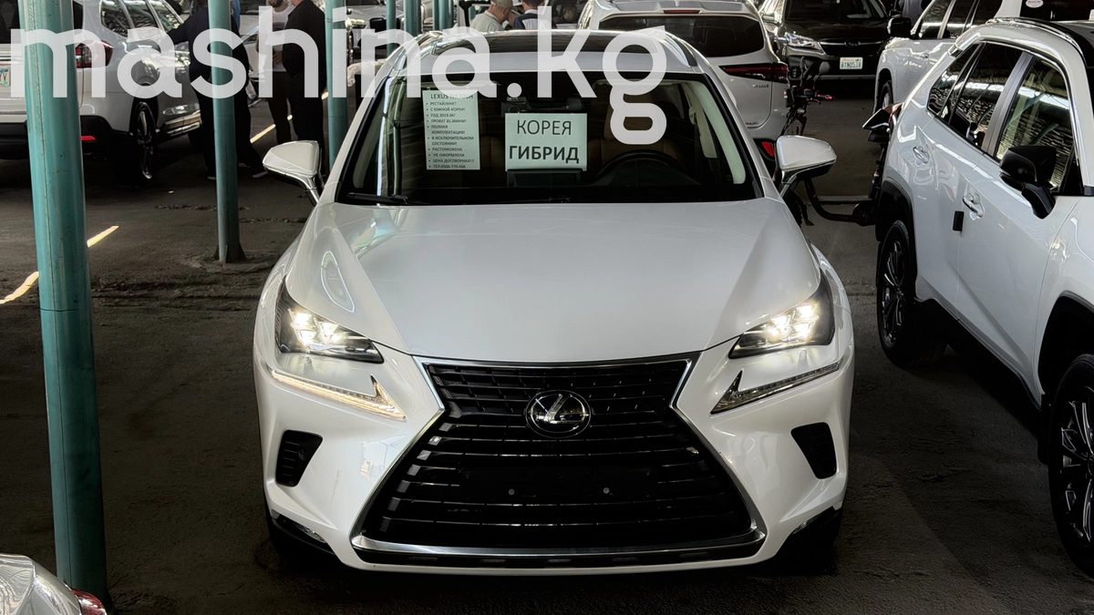 Lexus NX I Рестайлинг 2019