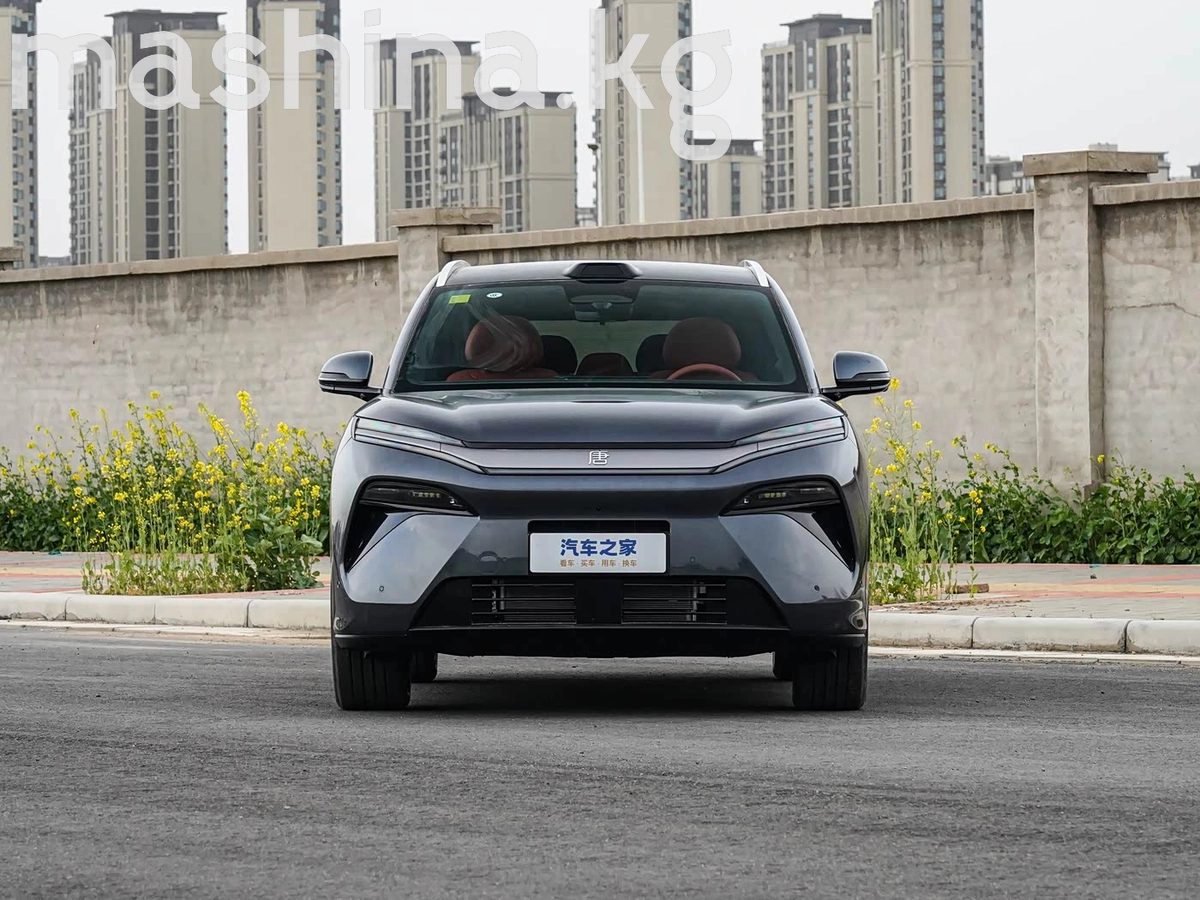BYD Tang L 2025