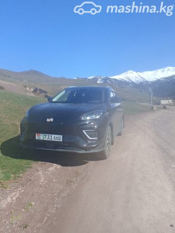 Weltmeister EX5