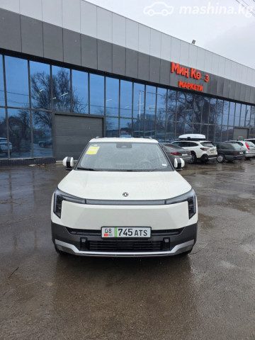 Dongfeng Nammi 01