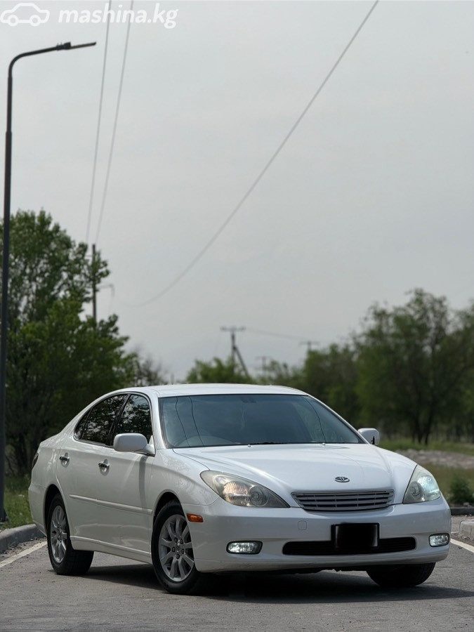Toyota Windom