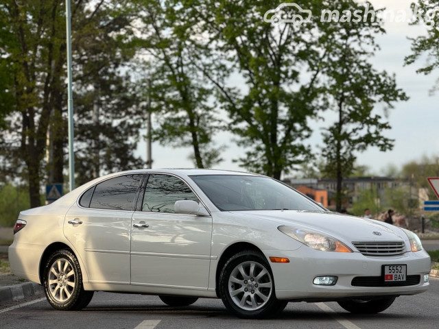 Toyota Windom