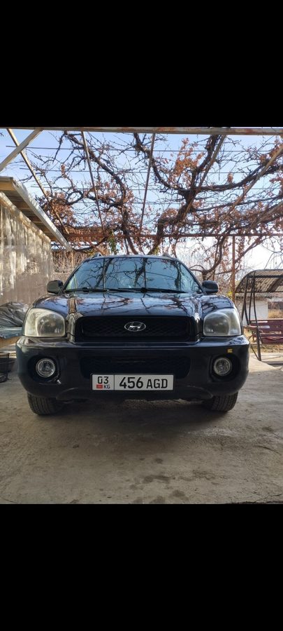 Hyundai Santa Fe