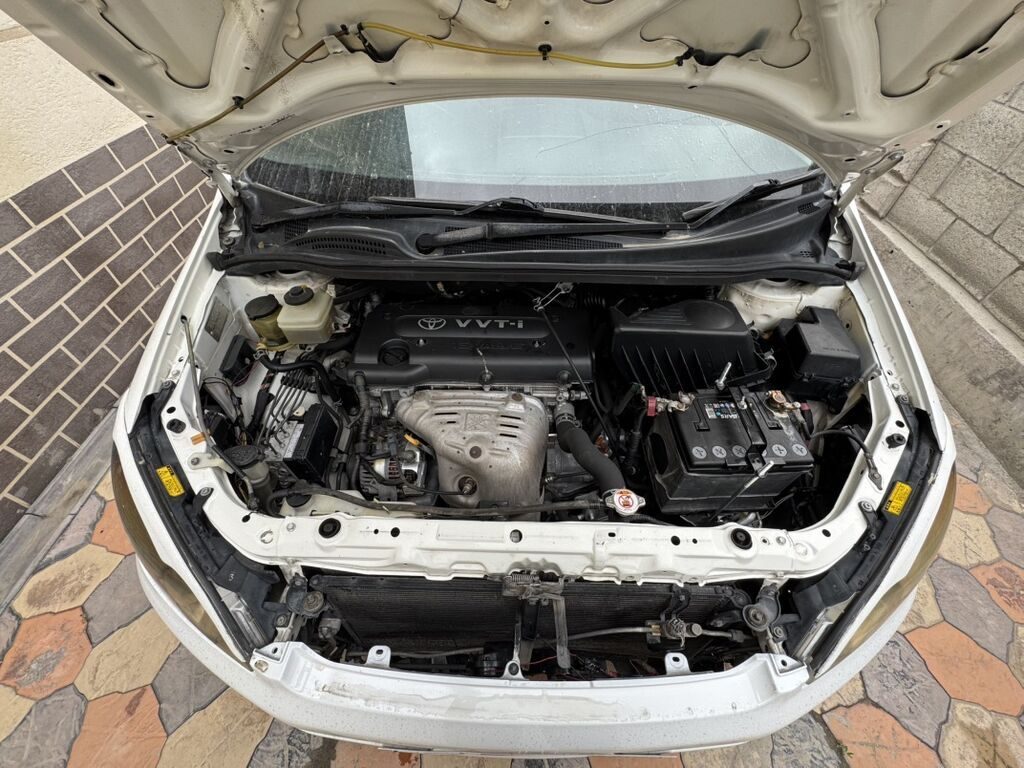 Toyota Ipsum