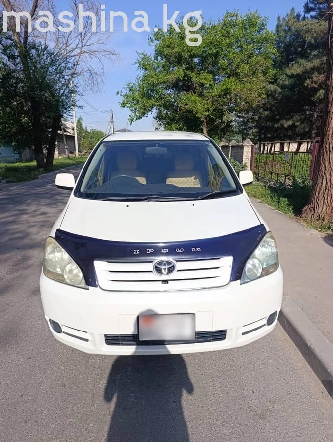 Toyota Ipsum II (M20) 2003