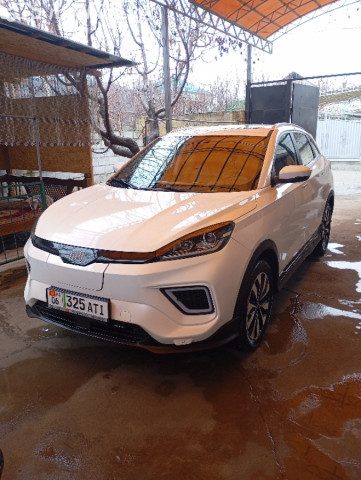 Weltmeister EX5