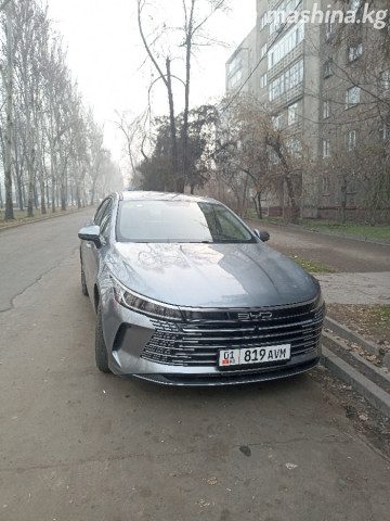 BYD Destroyer 05