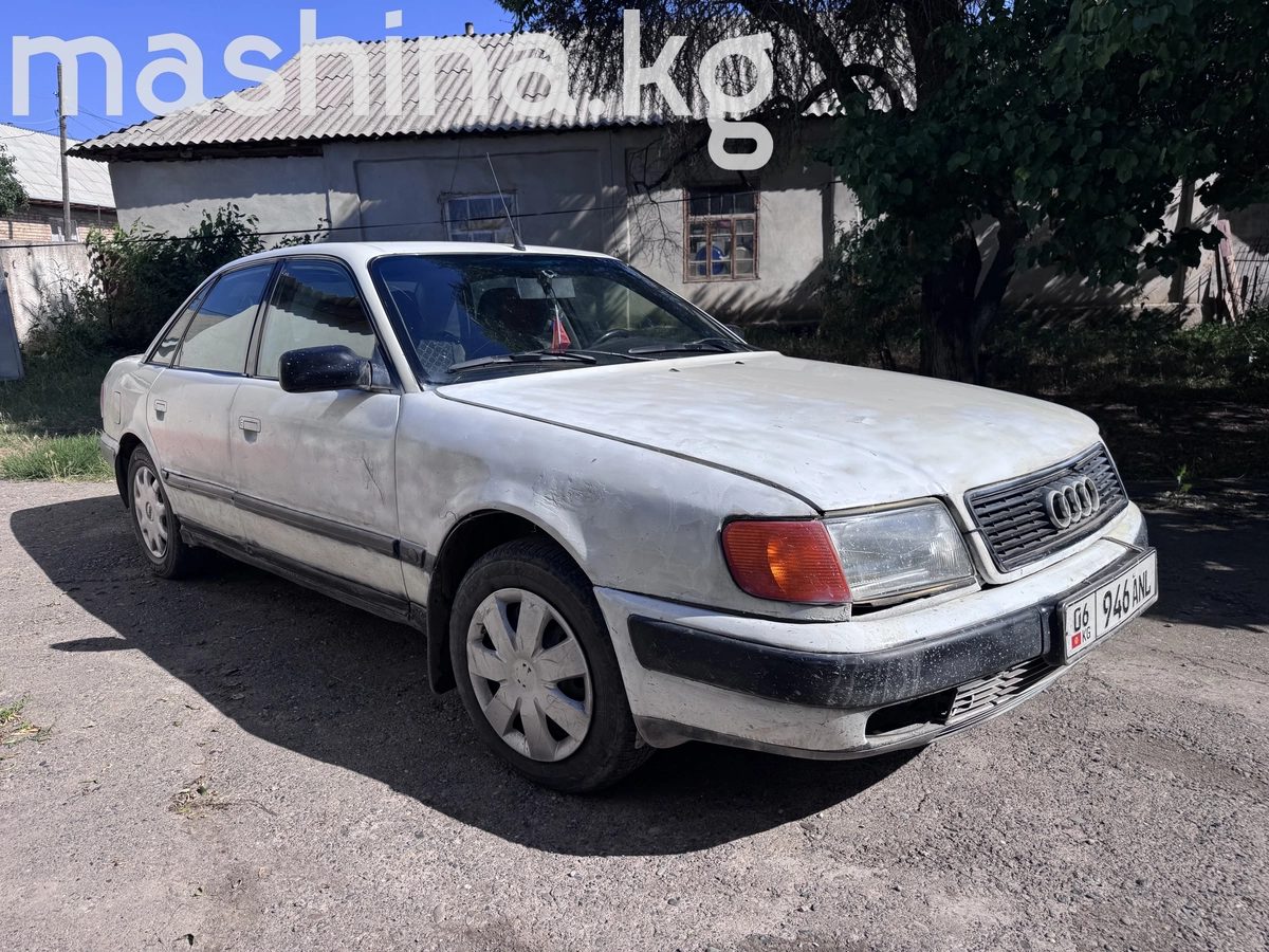 Audi 100 IV (C4) 1991