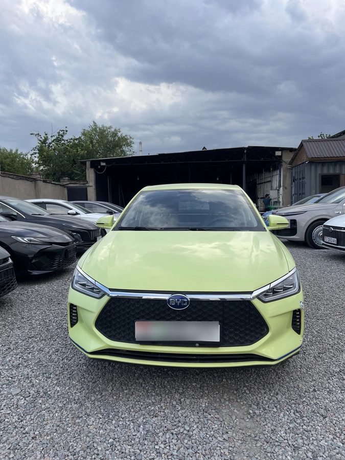 BYD E2 I 2020