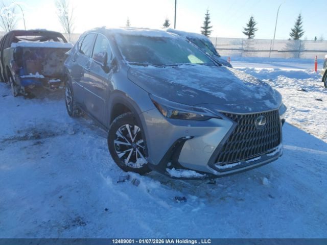 Lexus NX II