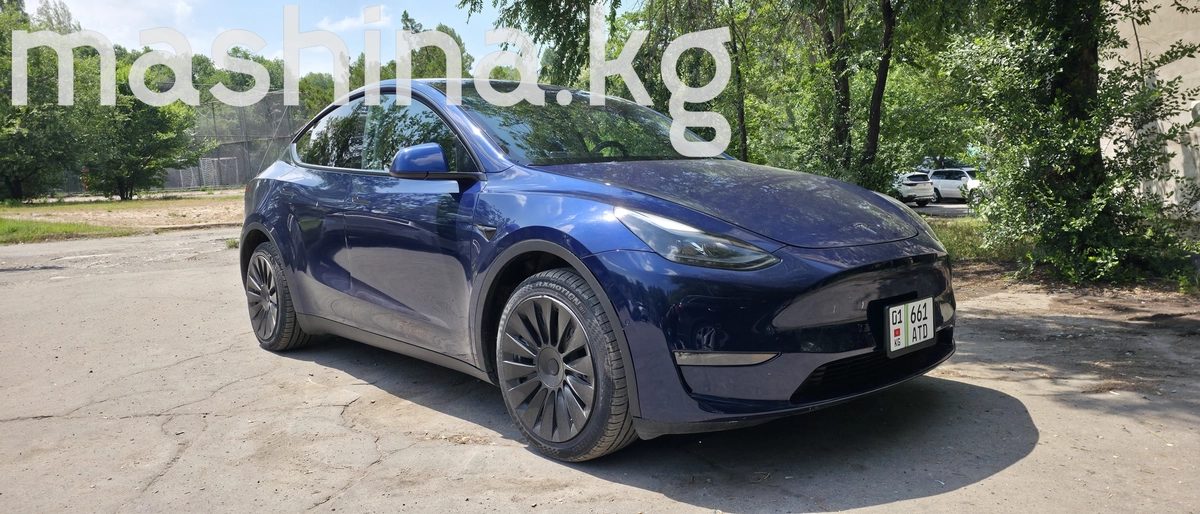 Tesla Model Y I 2022
